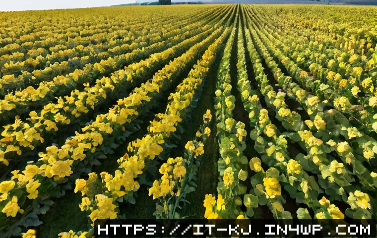 Integrare social e sito web: strategia pratica per aumentare visite, lead e vendite 4 소셜 미디어 통합을 통한 웹사이트 활성화 전략 관련 이미지 2